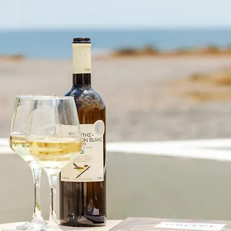 Διαμέρισμα Living Φαληράκι